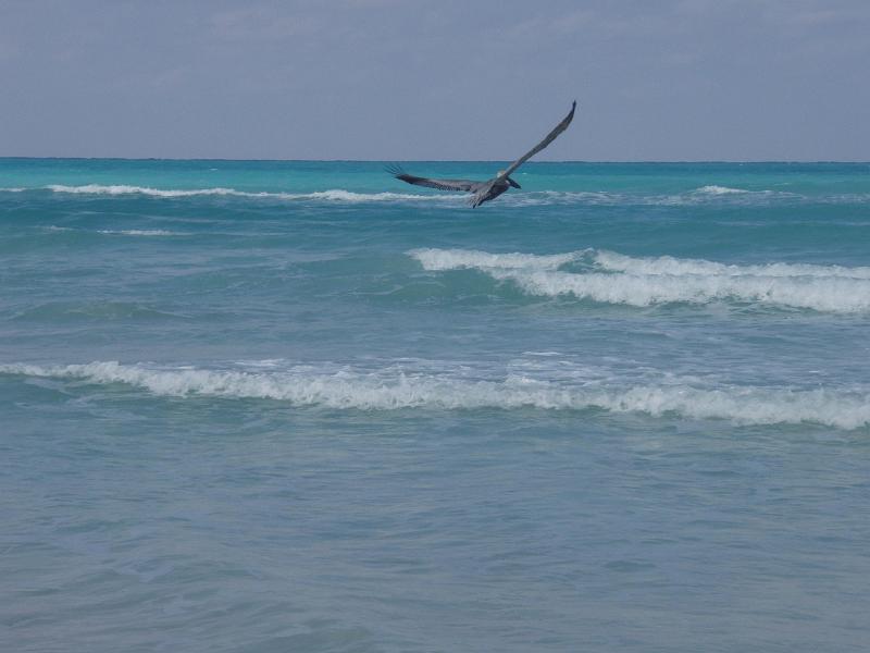 ph-10014.jpg