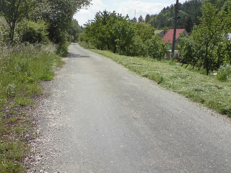 DSC00491.JPG