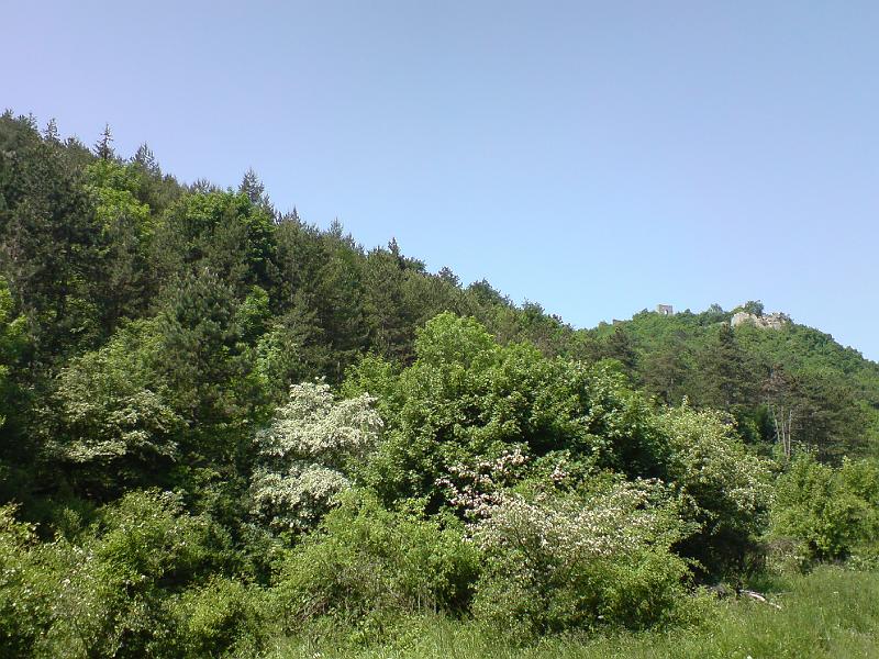 DSC00492.JPG