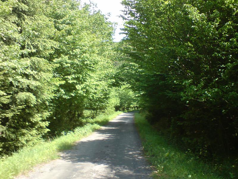 DSC00495.JPG