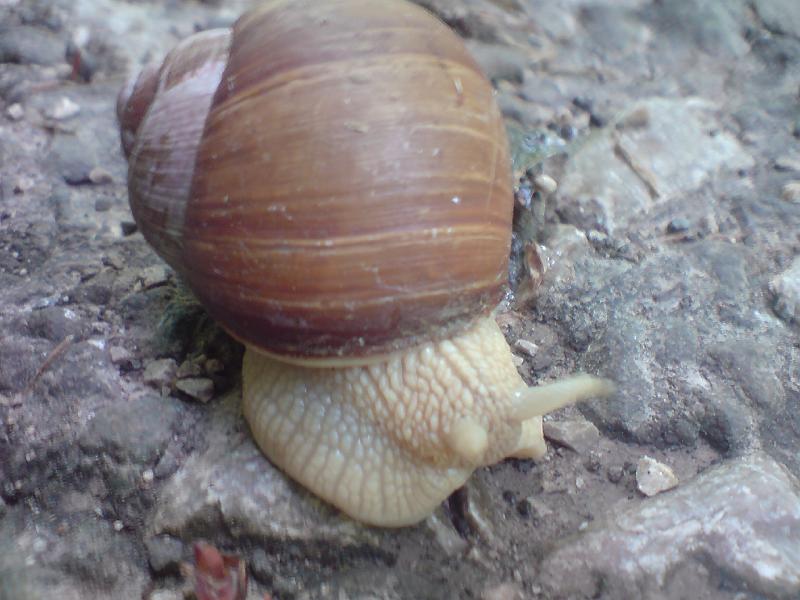 DSC00497.JPG