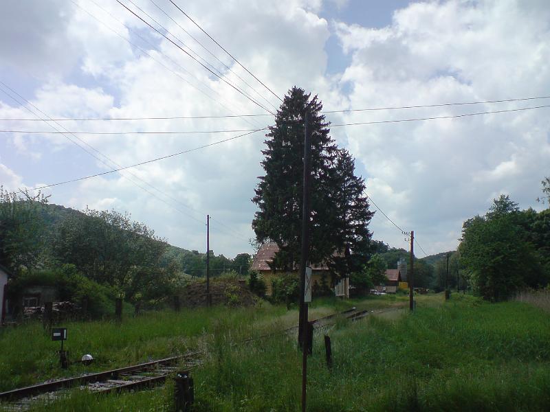 DSC00508.JPG