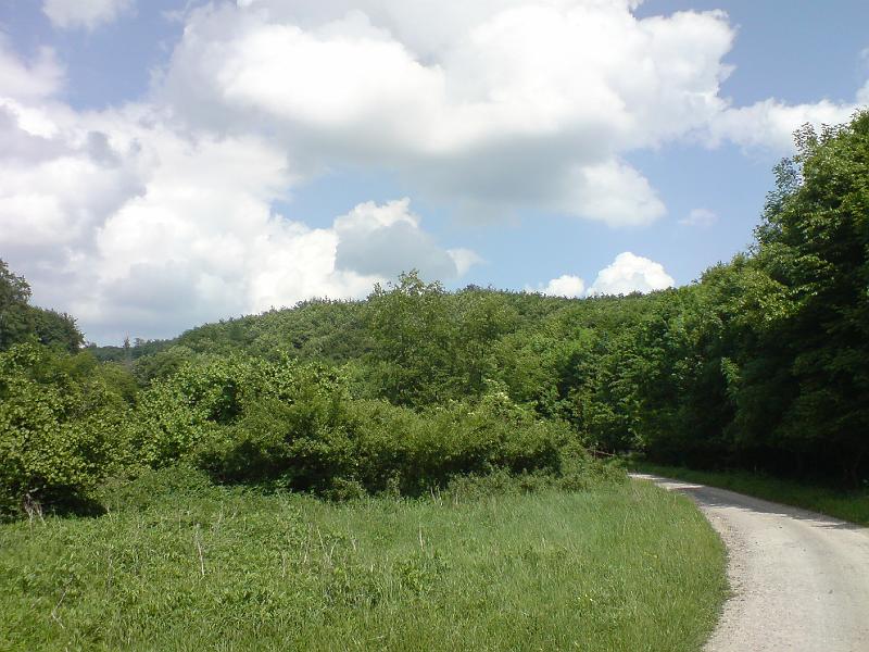 DSC00515.JPG
