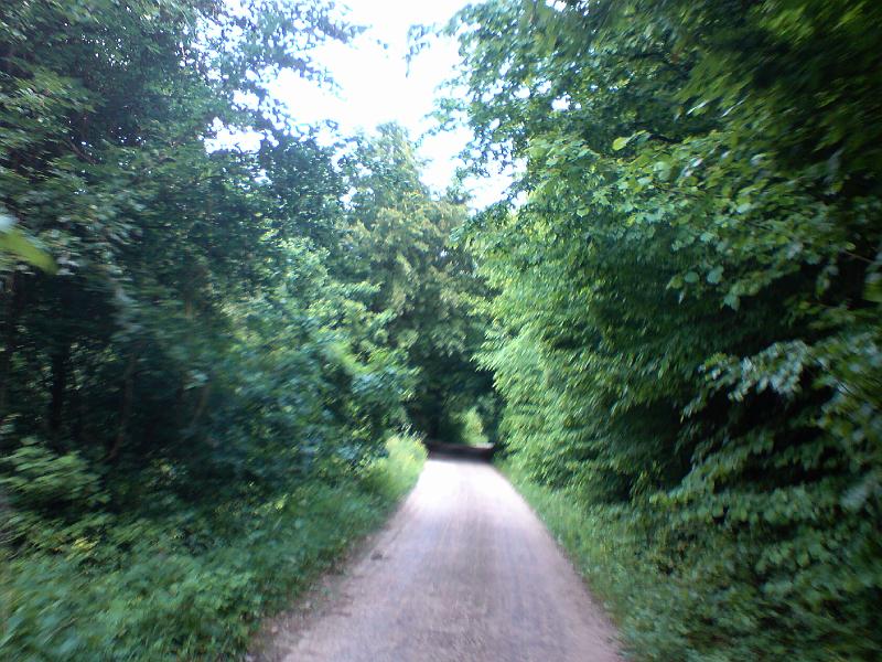DSC00524.JPG
