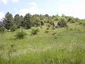 DSC00490