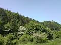 DSC00492