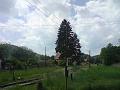 DSC00508