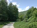 DSC00514