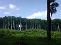 DSC00520