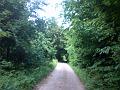 DSC00524