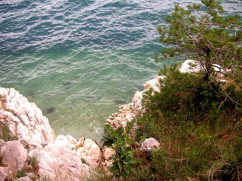 ph-10110.jpg