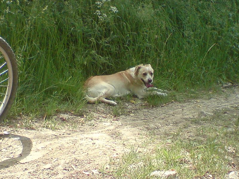 DSC00576.JPG