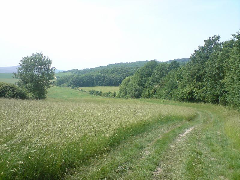 DSC00578.JPG