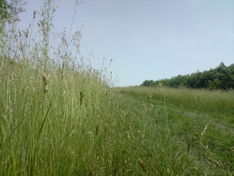 DSC00579.JPG