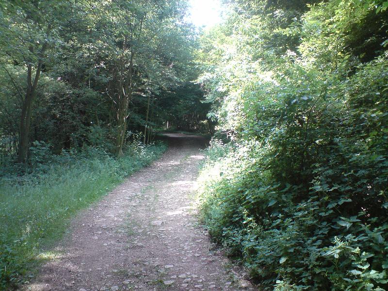 DSC00584.JPG
