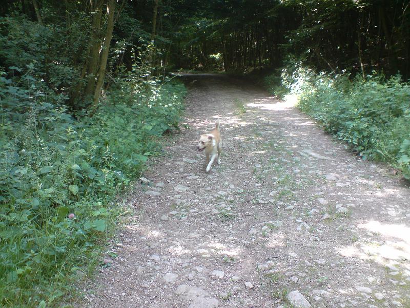 DSC00585.JPG