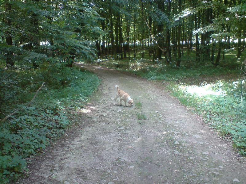 DSC00586.JPG