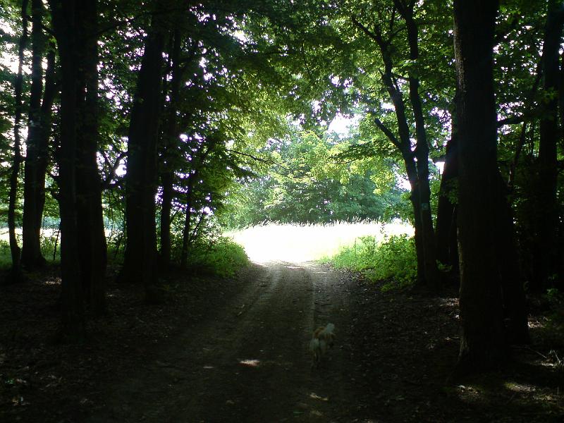 DSC00591.JPG